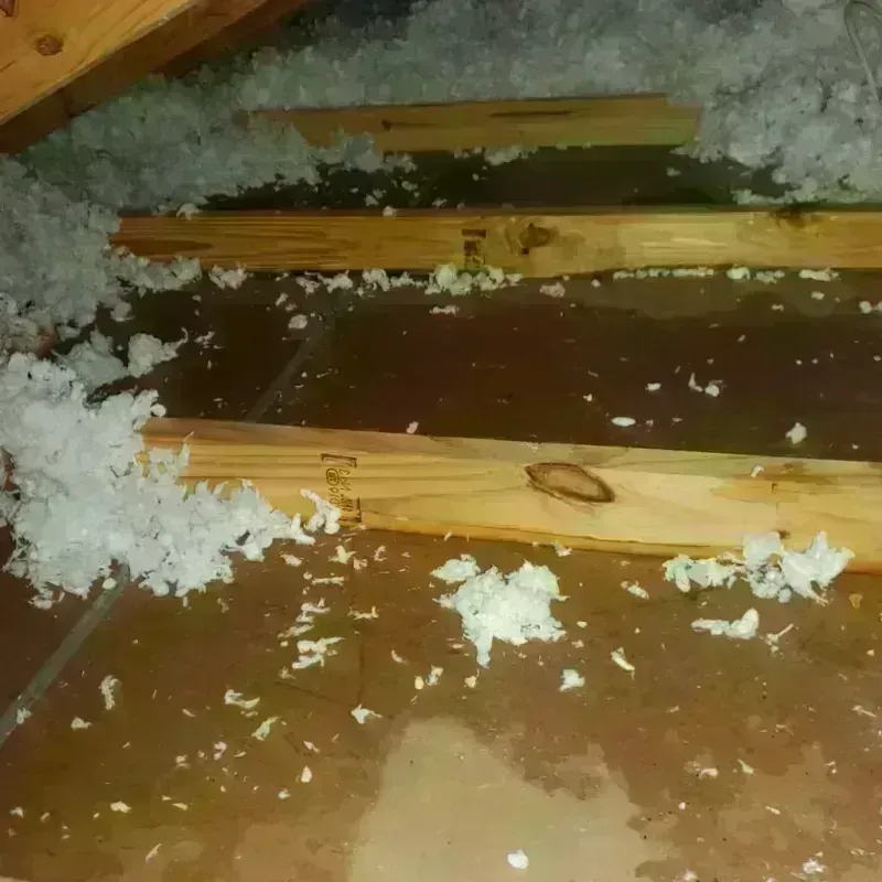 Attic Water Damage in Geneseo, NY